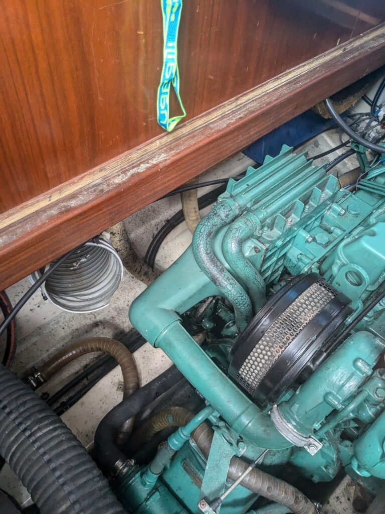 pxl 20240729 083018547