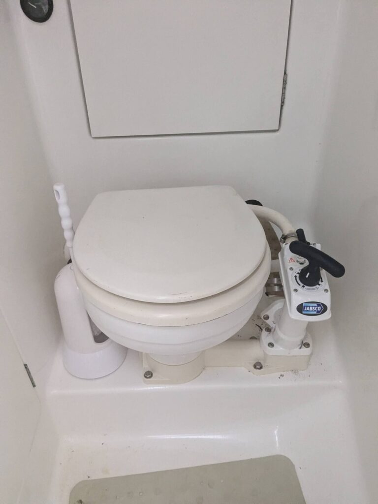 pxl 20240729 092006819